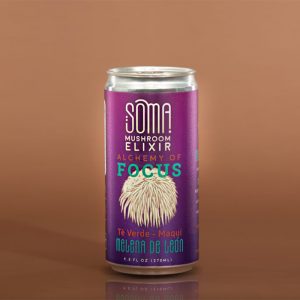 Alchemy of Focus - Melena de león, Té verde, Maqui
